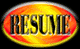 Professional Resume